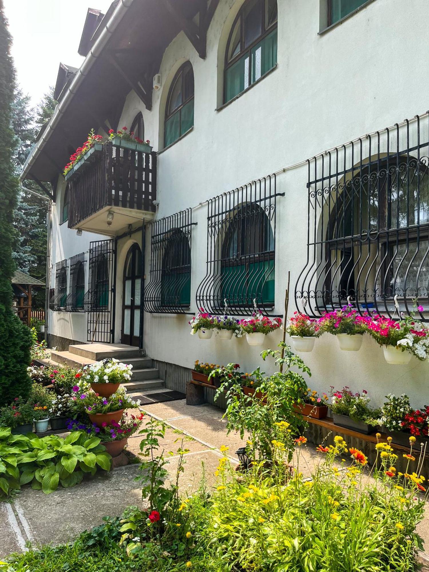 Nosztalgia Villa Mezőkövesd Dış mekan fotoğraf