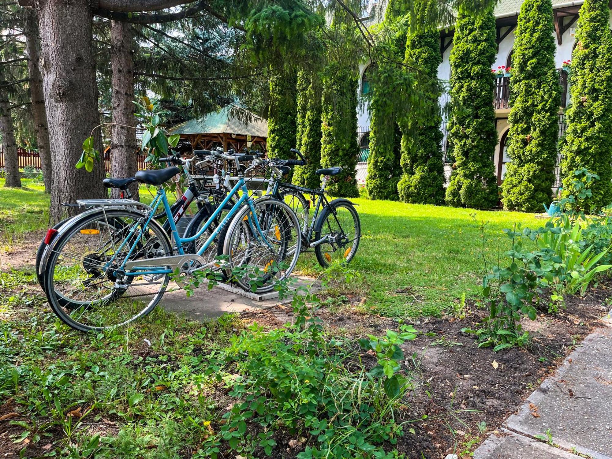 Nosztalgia Villa Mezőkövesd Dış mekan fotoğraf